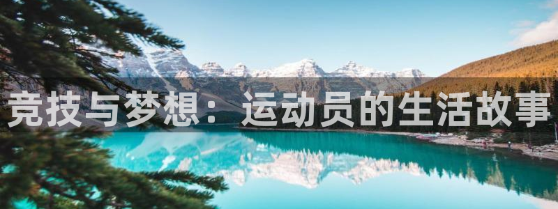xcsports官网下载