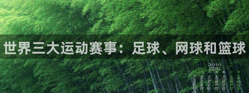 xcsports