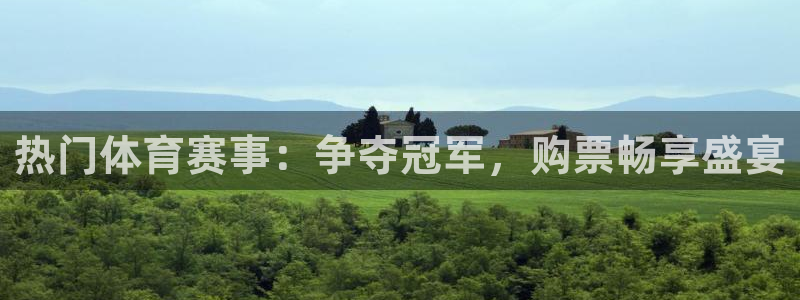 xcsports网页版入口