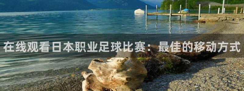 xc8866网页登录入口