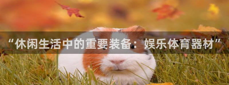 2018xcc官网登录入口