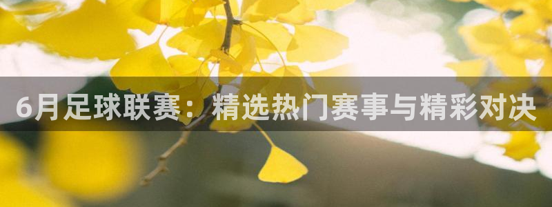 xcsport体育登录