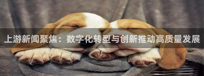 jxxcc官网登录入口