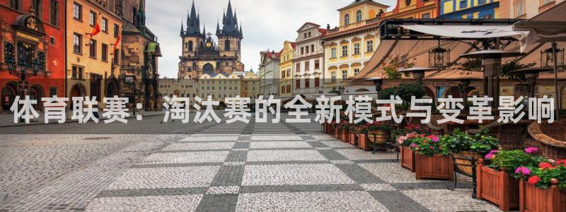 9555xcc官网登录入口
