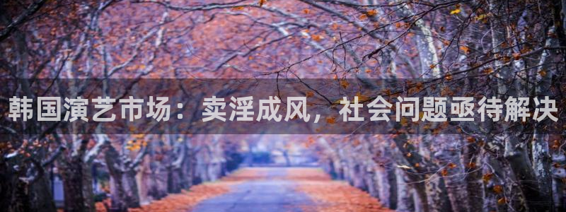 xc8866网页登录入口