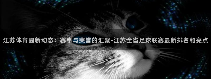 9555xcc官网登录入口