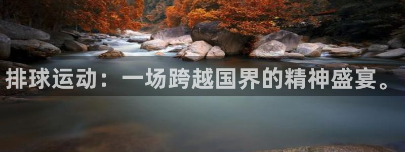 xcsports网页版入口