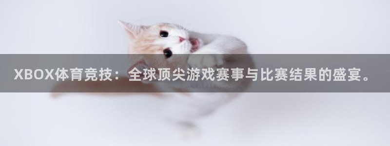 xcsports官网登录入口
