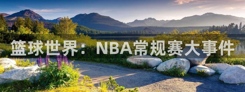 xcsports网页版入口