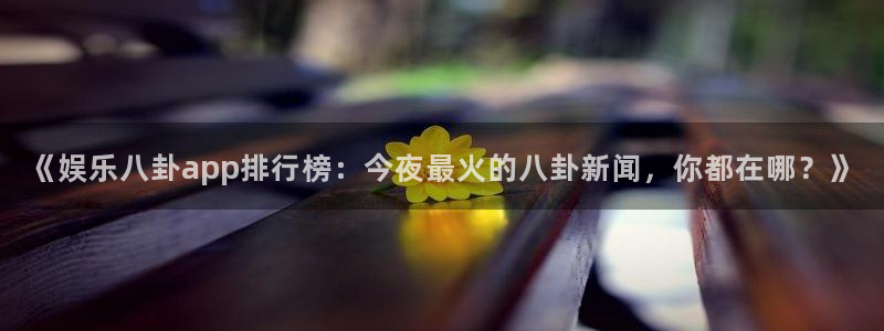 xcsports网页版入口官网