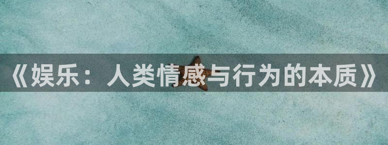 2018xcc官网登录入口