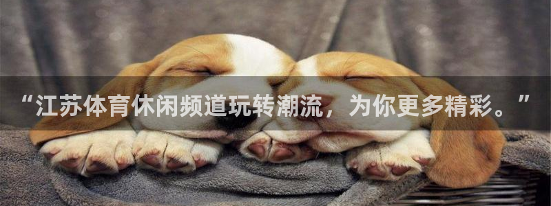 xcsports手机版下载