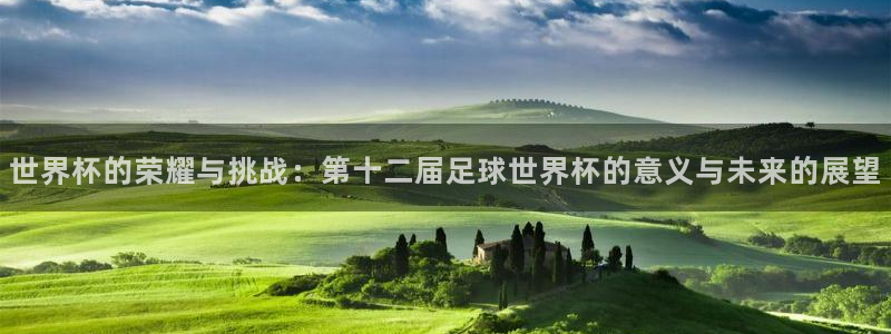 xcsports网页版入口